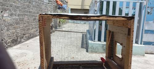 hen cage for sale whatsapp and sim also contact no 0330 1941395