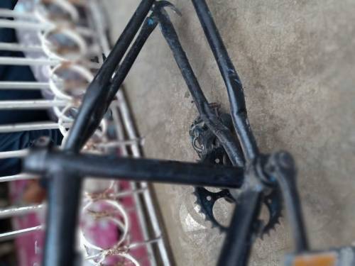 BMX cycle frame