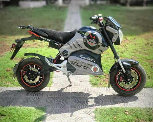 Electric Bike - ET 2000 Thunderbird