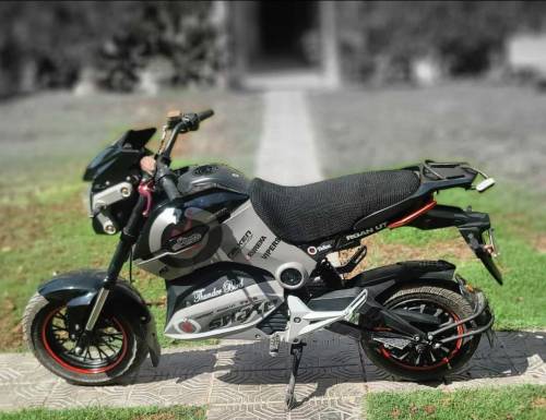 Electric Bike - ET 2000 Thunderbird