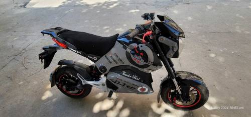 Electric Bike - ET 2000 Thunderbird