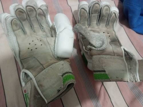 Cricket Batting Gloves