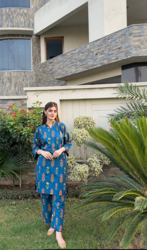 2 Pcs Women's Stitched Linen Printed Shirt hirt and Trouser 