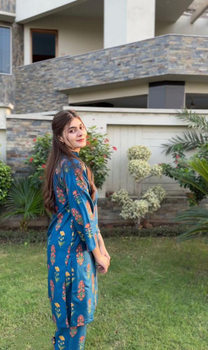 2 Pcs Women's Stitched Linen Printed Shirt hirt and Trouser 