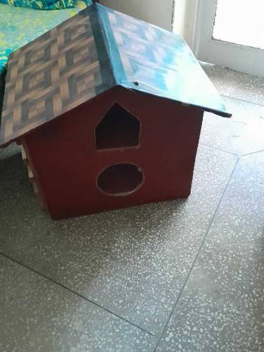 .pet house.and birds cage 