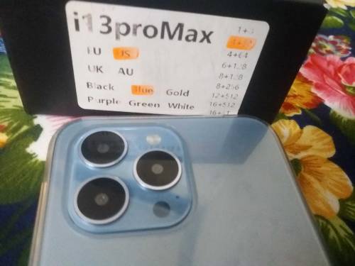 i13 pro max