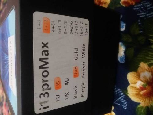 i13 pro max