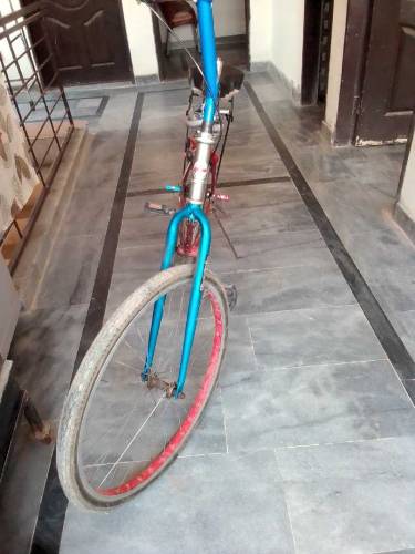 safari modified cycle for sale 