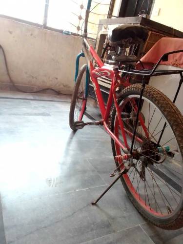 safari modified cycle for sale 