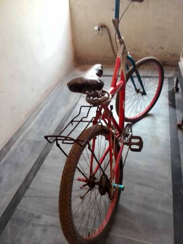 safari modified cycle for sale 