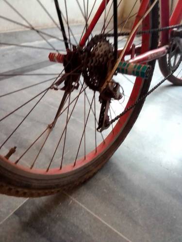 safari modified cycle for sale 