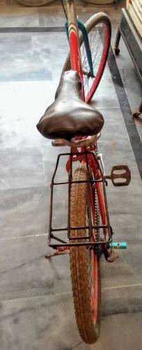 safari modified cycle for sale 