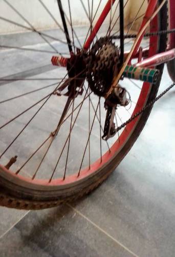 safari modified cycle for sale 