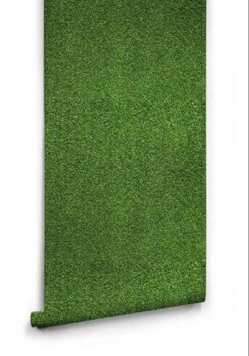 Artificial Grass Carpet