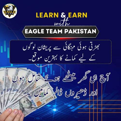 اگر آپ کو سچ میں کام کی ضرورت ہے اور آپ روزانہ کچھ کمانا چاہتے ہیں ایک