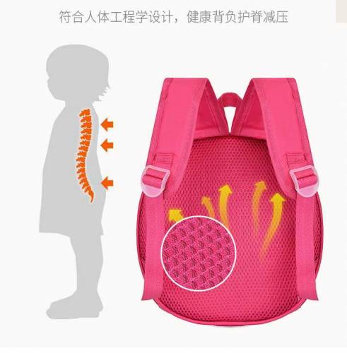 Pokemon Bag