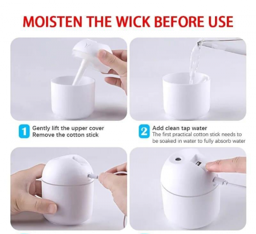 Mist Sprayer Humidifier