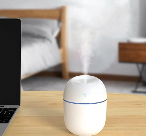 Mist Sprayer Humidifier