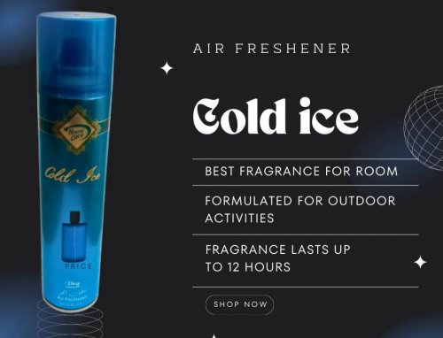 Cold ice air freshener. best summer product.