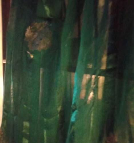 Silk green dupatta with fabric paint available.