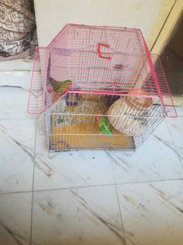 Bed Dressing table divider cupboard 1 sal using