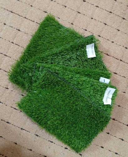 grass