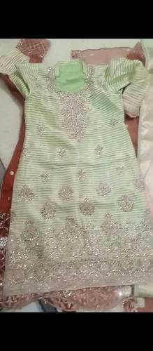 light green n ferozi n rust colour n golden dress 