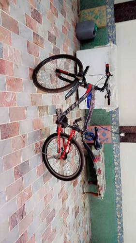Bicycle