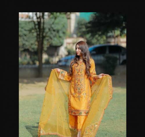 3 pcs Stitched woman's Embroidered