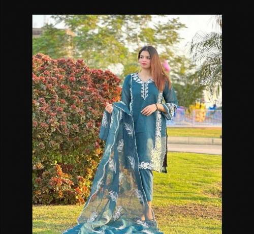 3 pcs Stitched woman's Embroidered