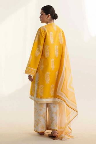 women clothing 