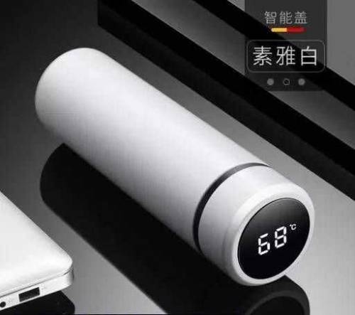 Imported Smart Thermos Water Bottle 