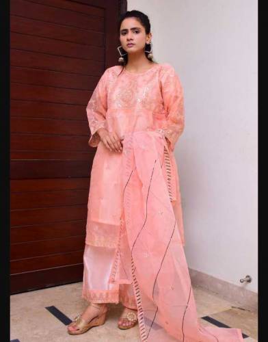 3pcs Women's stitched Organaza Embroidered suit