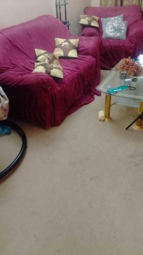 carpet 