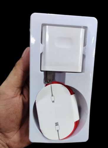 100 watt fast charger