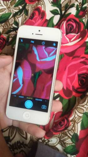 iPhone 5