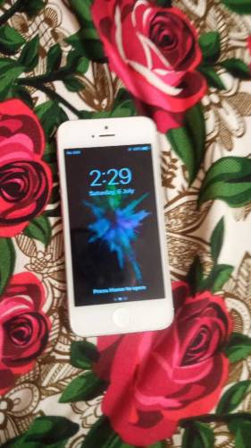 iPhone 5