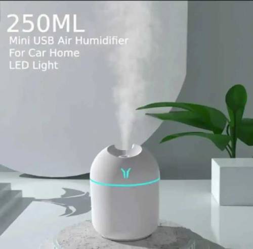 portable humidfier