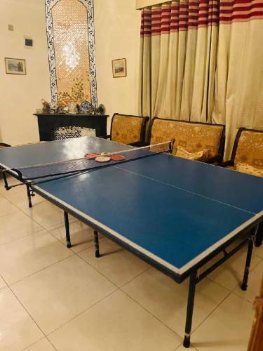 Table tennis table