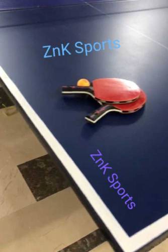 Table tennis table