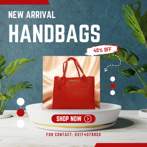 women's handbag 