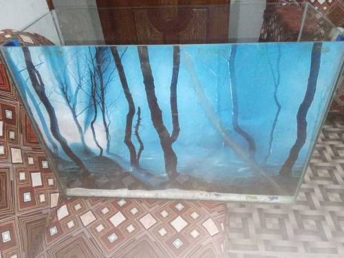 Fish Aquarium Large eize