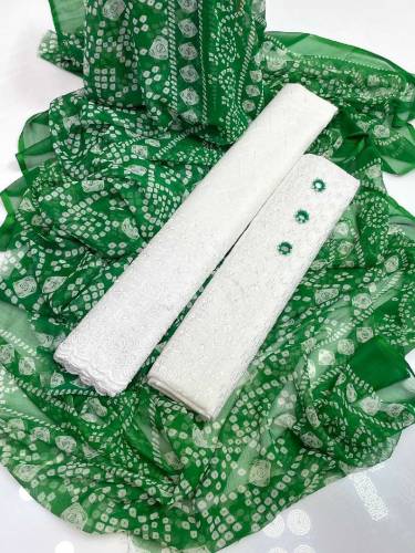 Lwn Chikan Embroidered Shirt  