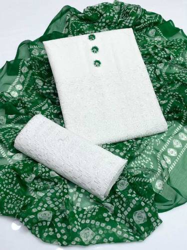 Lwn Chikan Embroidered Shirt  