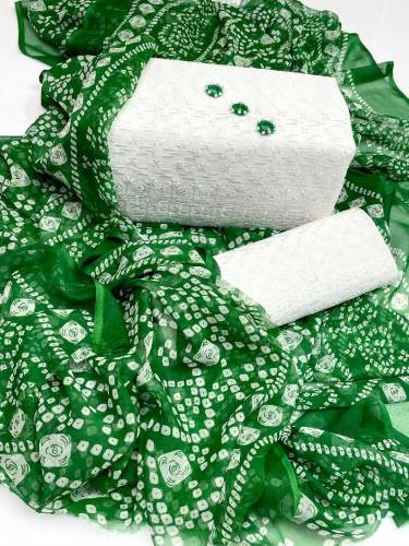 Lwn Chikan Embroidered Shirt  