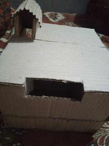 Cradbor home hu