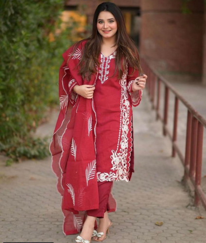 3 Pcs women's stitched organza embroidered suit 