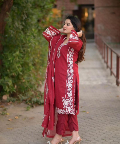3 Pcs women's stitched organza embroidered suit 
