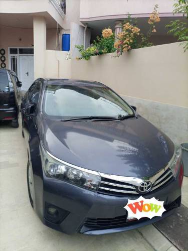 Corolla Gli