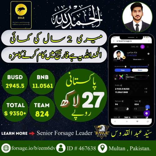 Earn Dollars in Pakistan 